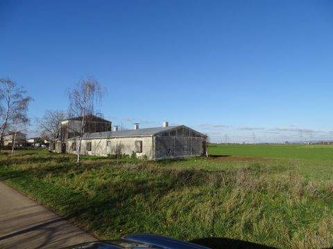 Plankstadt Renditeobjekte, Mehrfamilienhäuser, Geschäftshäuser, Kapitalanlage