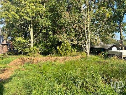 Rhauderfehn Bauernhöfe, Landwirtschaft, Rhauderfehn Forstwirtschaft