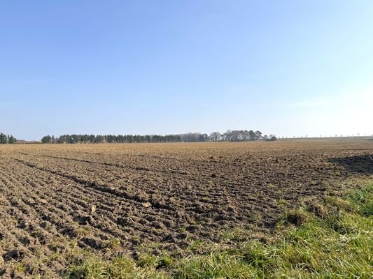 traumhafte Aussicht auf benachbarte Felder