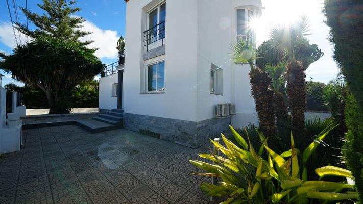 Pflegeleichter Garten