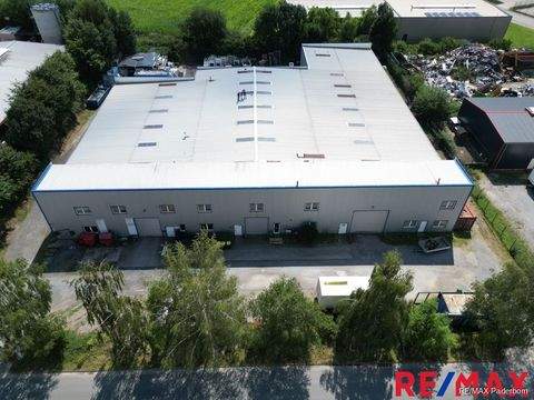 Salzkotten Halle, Salzkotten Hallenfläche