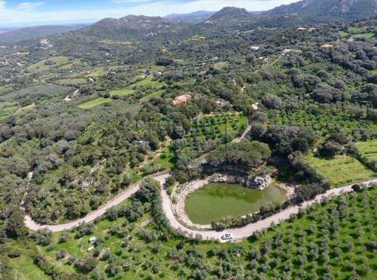 Prächtiges Anwesen mit Olivenhain und zwei kleinen Seen in Palau