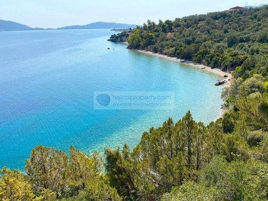 d51f8622bf40444dad65e9488ed9c5ee-original