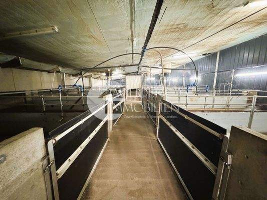 469.Betrieb.Innen.Stall (5)