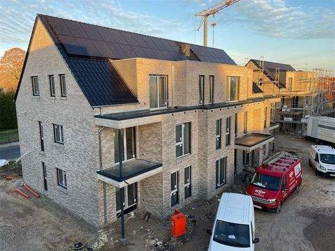 Werlte Wohnungen, Werlte Wohnung kaufen