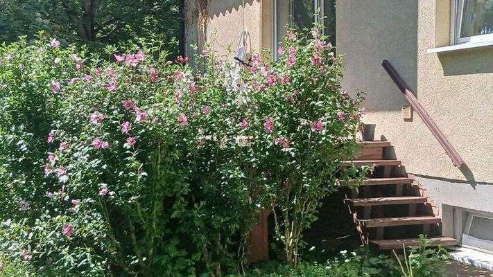 0-02-05-6cb4cf1a310a53210a41b38f9e30b026bc03256a7c