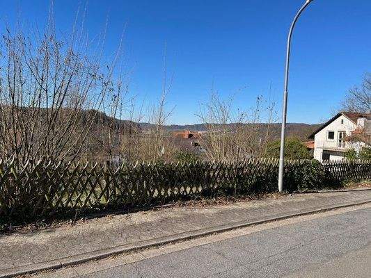 Blick von der Strassenseite 