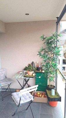 Kern -Sanierung  2016 Perfekt