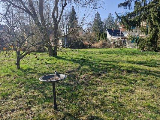 Grundstücksansicht aus dem hinteren Teil