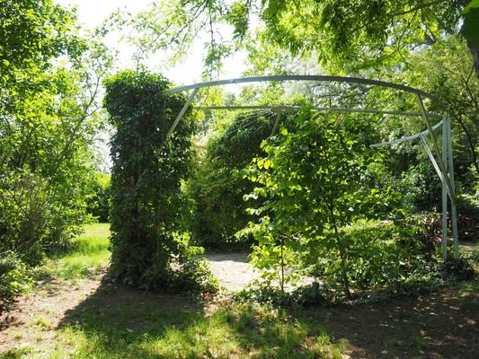 Gartenbereich