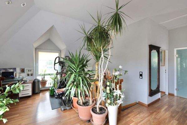 DG: Zimmer mit Terrasse 2