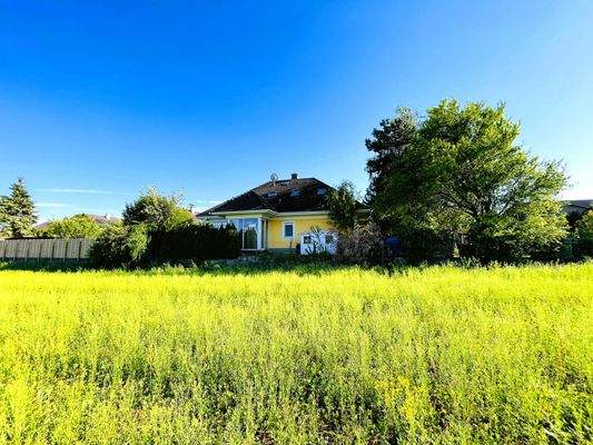 Angrenzend an Grünland