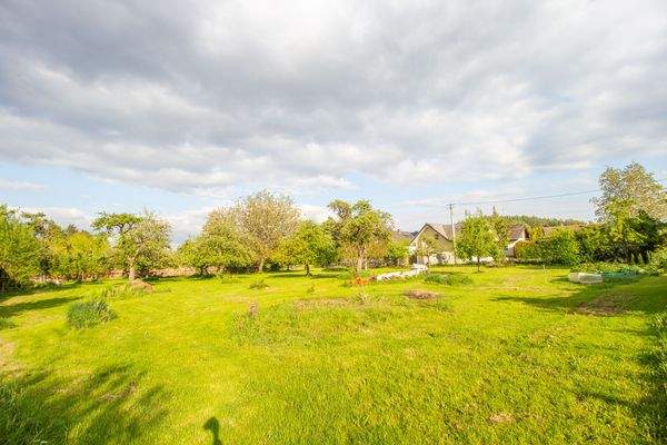 250511_Grundstück Königseggwald-15