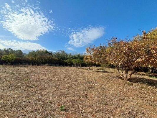 Kreta, Armeni: Erstklassiges Baugrundstück mit Bergblick, Obstgarten und Strandnähe