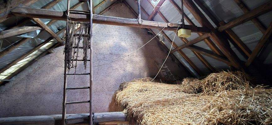 Alte Scheune, Ausbaureserve