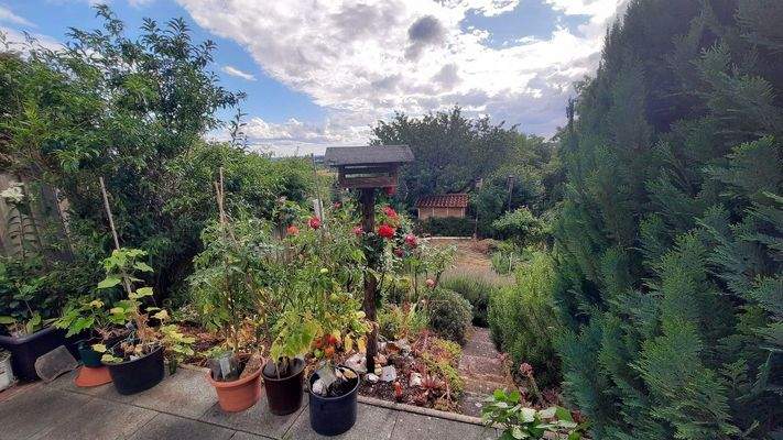 Blick von der Terrasse