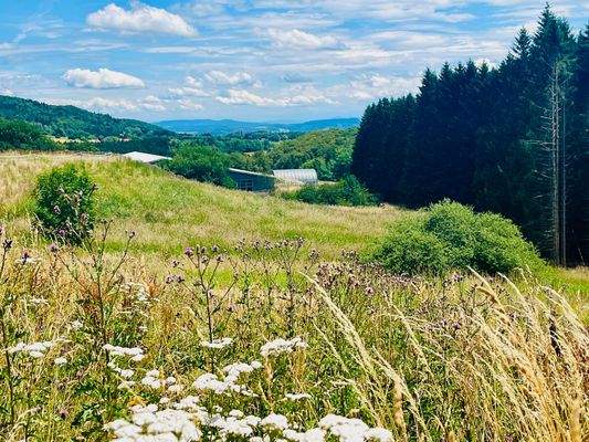 Blick auf Reitanlage