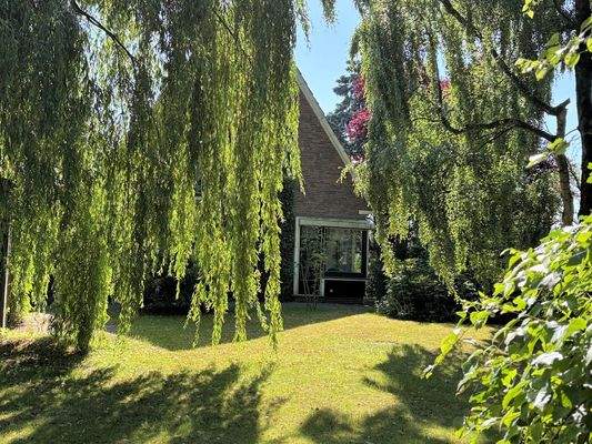 Rückseite mit altem Baumbestand