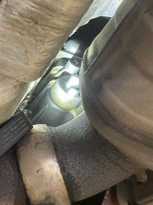 WhatsApp Image 2026-02-10 at 17.51.49 (4).jpeg