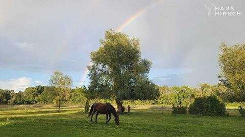 Fehrbellin Bauernhöfe, Landwirtschaft, Fehrbellin Forstwirtschaft