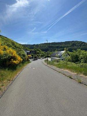 =?UTF-8?Q?Stra=C3=9Femzug_III.jpg?=