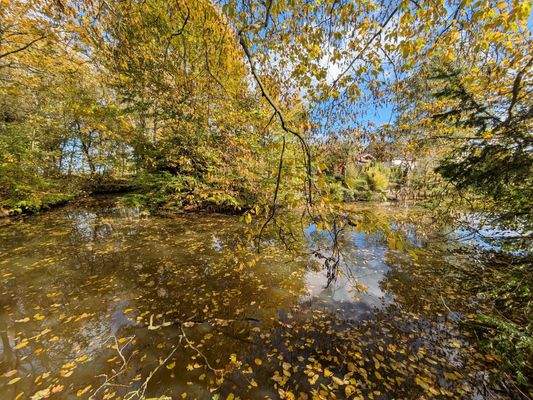 Gewässer am hinteren Grundstücksende