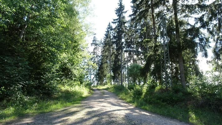 Wanderweg in der Umgebung