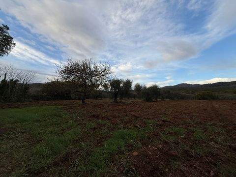 Roccastrada Häuser, Roccastrada Haus kaufen