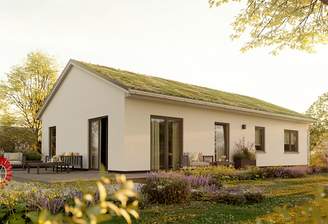 Ansicht mit Gründach