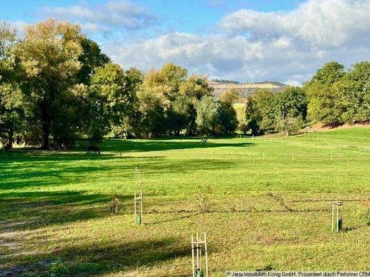Ausblick von der Wohnung