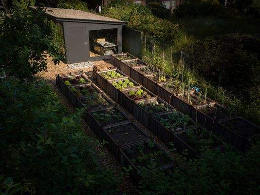 Hamburg_Villa_Gemuesegarten