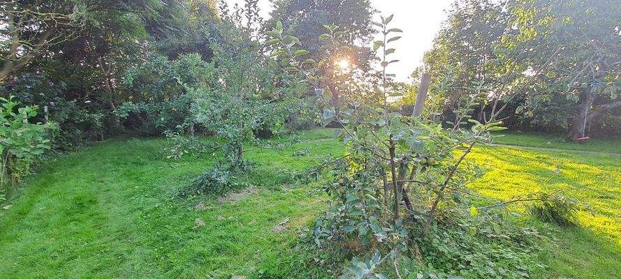 schön gepflanzter Obstgarten