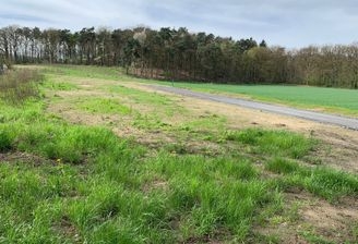 Baugrundstücke Baugebiet Nesberg 