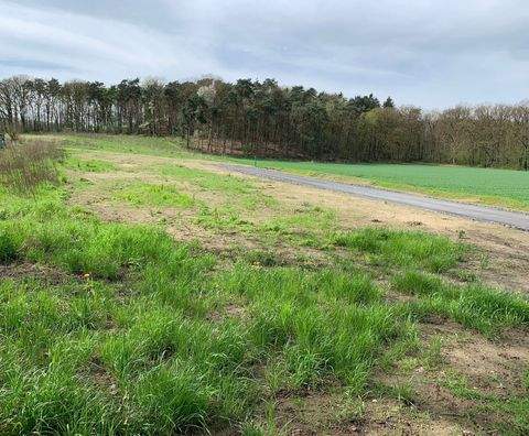 Haltern am See Grundstücke, Haltern am See Grundstück kaufen