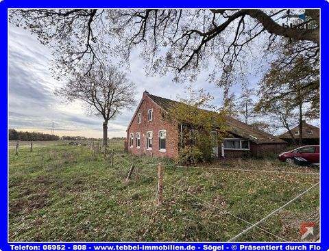 Rhede-Ems Häuser, Rhede-Ems Haus kaufen