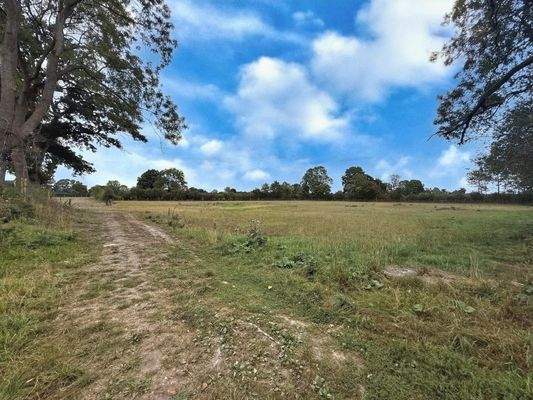 Grünland Viehwirtschaft