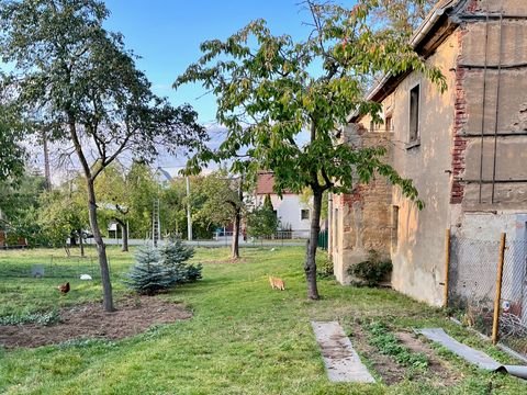 Frohburg OT Frauendorf Grundstücke, Frohburg OT Frauendorf Grundstück pachten