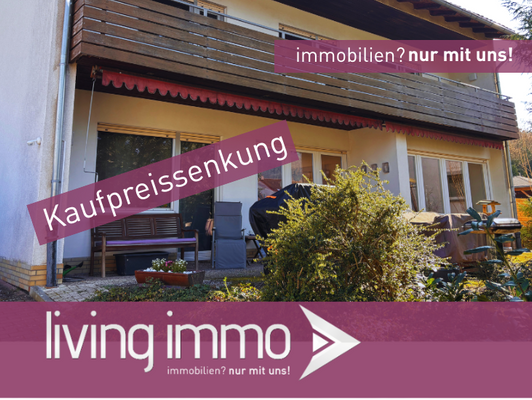 Vorlage Startbild Normal Logo und Fenster living immo Farbe (1)