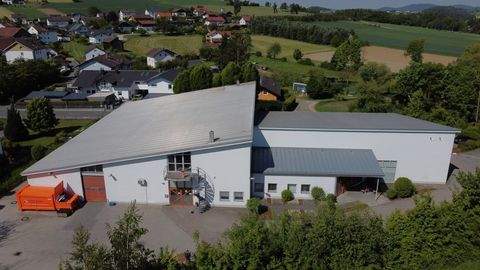 Willmering Halle, Willmering Hallenfläche