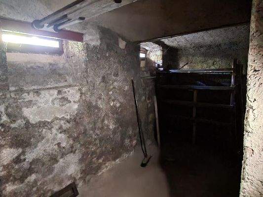 Feuchtigkeit_Keller