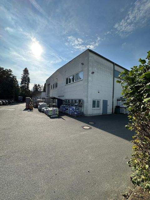 Höchst i. Odw. Halle, Höchst i. Odw. Hallenfläche