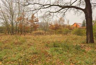 Ansicht Baugrundstück