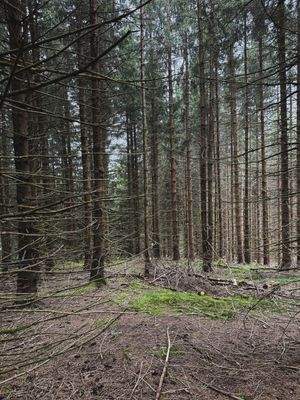 2025-07-22 14.19.17.jpg