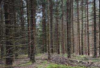 2025-07-22 14.19.17.jpg