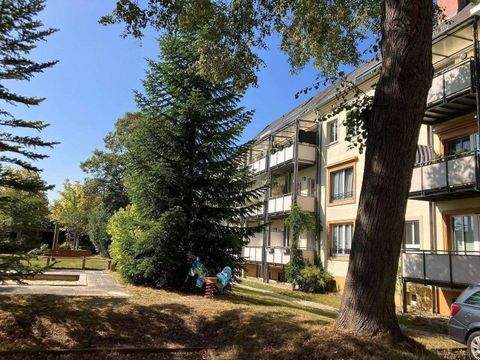 Chemnitz Wohnungen, Chemnitz Wohnung kaufen