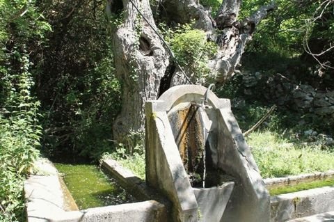 Kreis Ulcinj Häuser, Kreis Ulcinj Haus kaufen