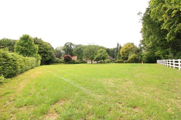 Weide hinter dem Haus