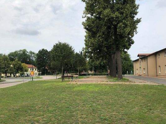 Wiese neben der Villa