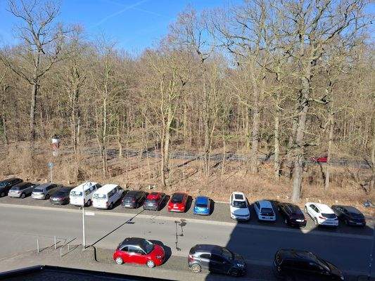 Blick in die Eilenriede