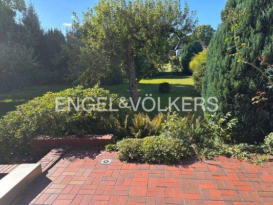 Blick in den sonnigen Garten